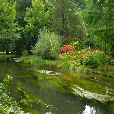 Authentic בית נופש *